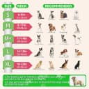 Upgraded Inflatable Dog Cone Collar to Stop Licking — Soft Dog Donut Collar