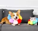 Adjustable Pet Recovery Collar