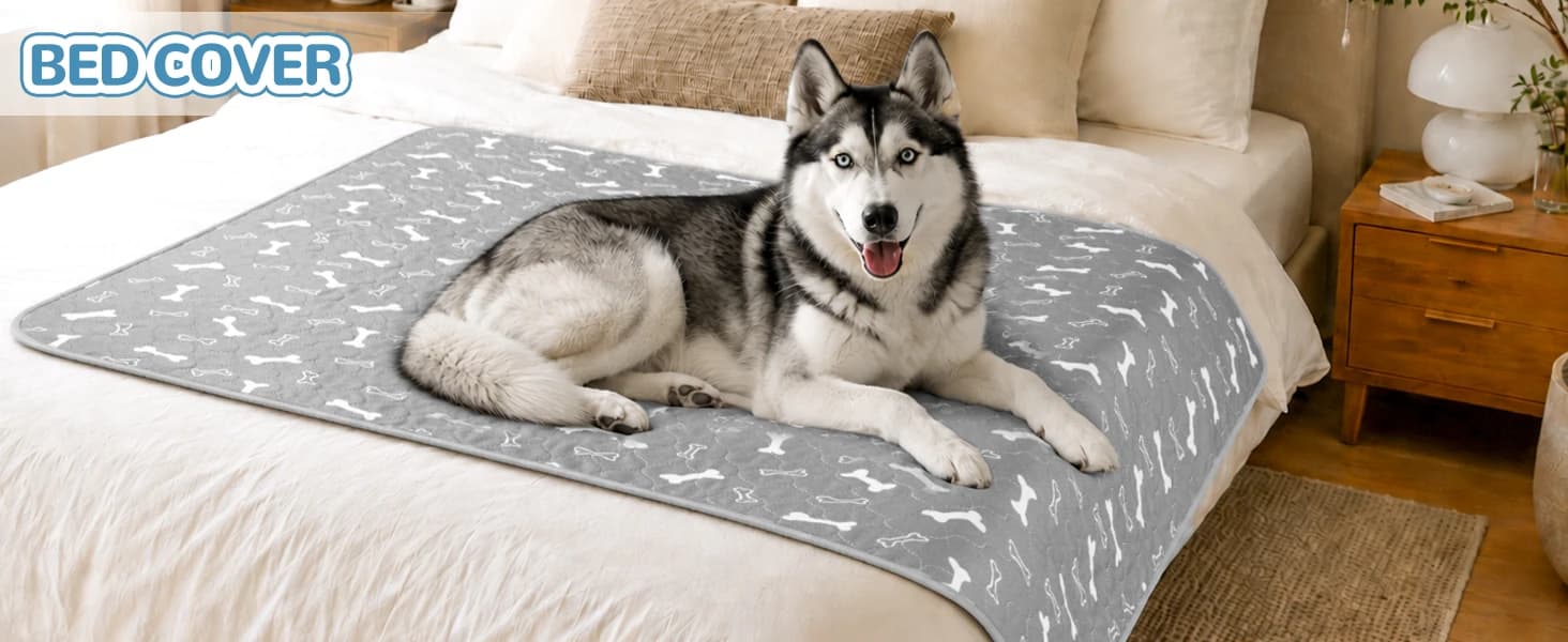 Washable Pee Pad for Dogs — 2 Pack Large Reusable Puppy Pads — product details