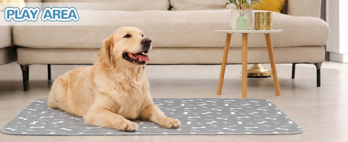 Washable Pee Pad for Dogs — 2 Pack Large Reusable Puppy Pads — product details