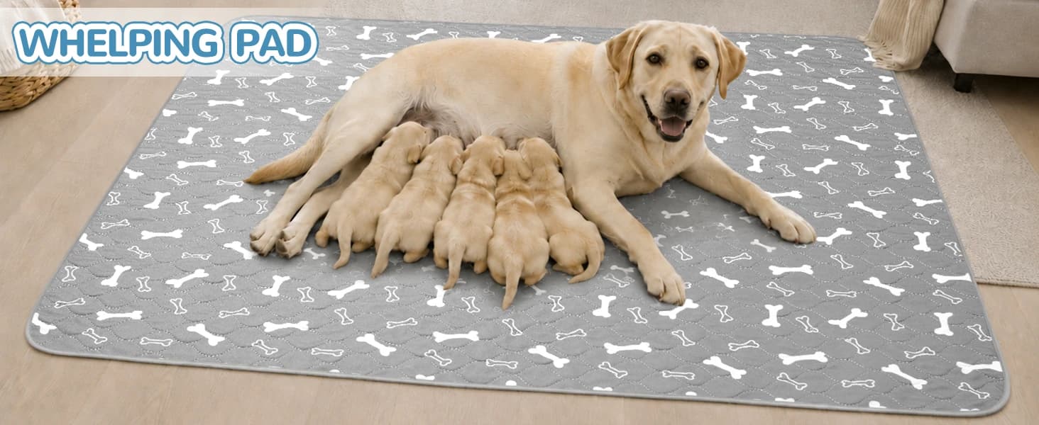 Washable Pee Pad for Dogs — 2 Pack Large Reusable Puppy Pads — product details