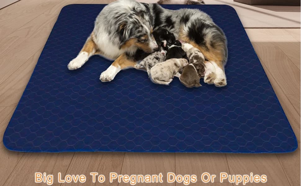 2Pack Pee Pads for Dogs Washable 53”x53” — product details