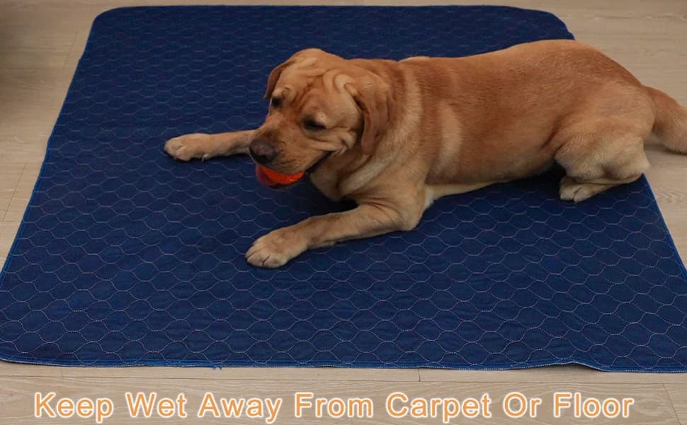 2Pack Pee Pads for Dogs Washable 53”x53” — product details
