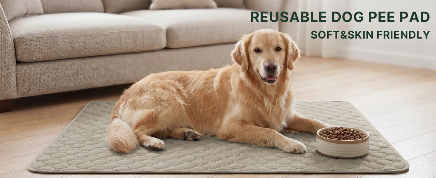 Premium Washable Pee Pads for Dogs 2 Pack Super Absorbent 100% Waterproof Reusable Non-Slip Quilted Puppy — product details