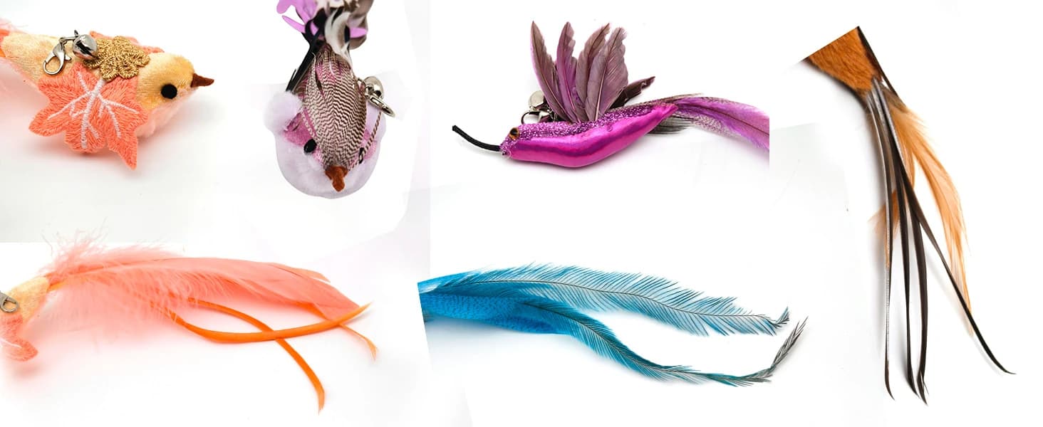 35" Steel Wire Cat Wand Toy and 6PCS Realistic Feather Bird Refills — More detailed display