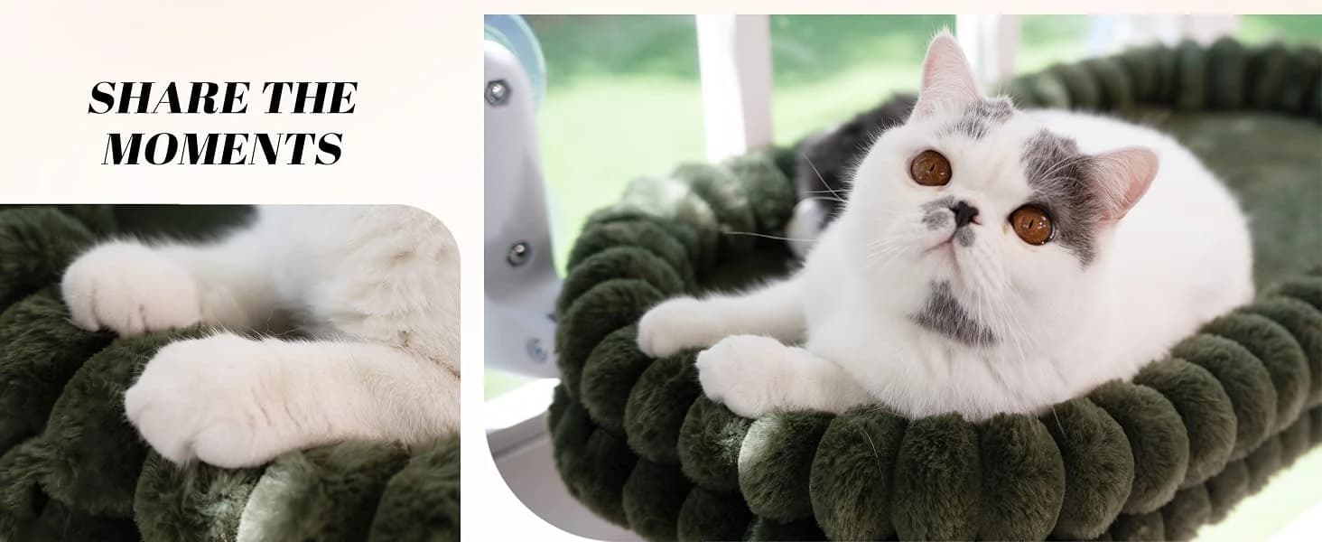 Cat Window Perch for Indoor Cats Hammock for Window with Reversible Cushion — product details