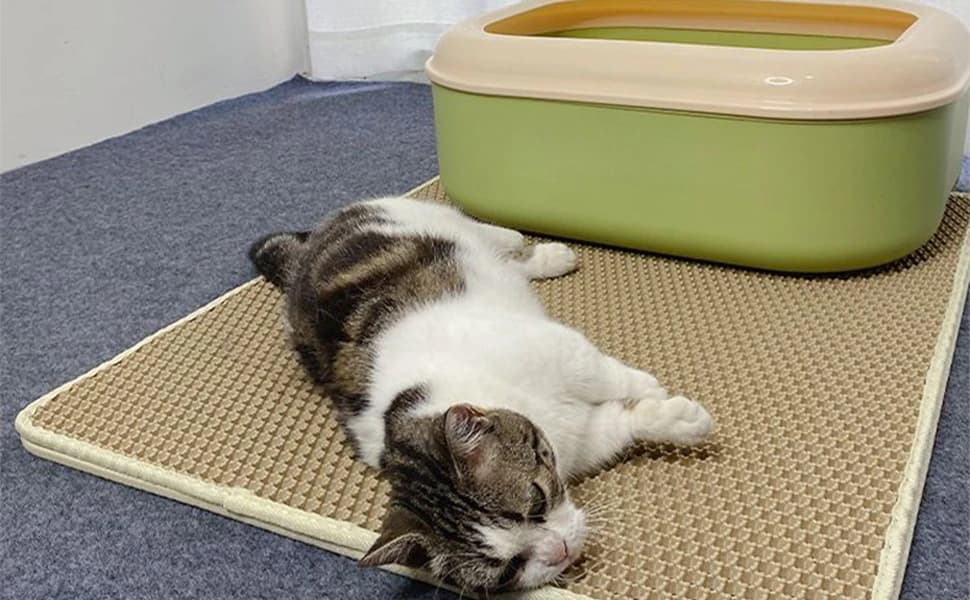 Cat Litter Mat â Double Layer Cat Litter Box Mat (35x24 Inch â Pet Supplies offers a wide selection â come and choose the perfect gift for your beloved pet!