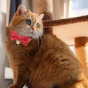 2 Pack Soft Corduroy Cat Collars with Bow Tie and Bell Adjustable Breakaway Kitten Bowtie Collar for Girl Boy Cats — SIZE