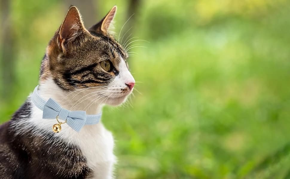 2 Pack Soft Corduroy Cat Collars with Bow Tie and Bell Adjustable Breakaway Kitten Bowtie Collar for Girl Boy Cats — product details