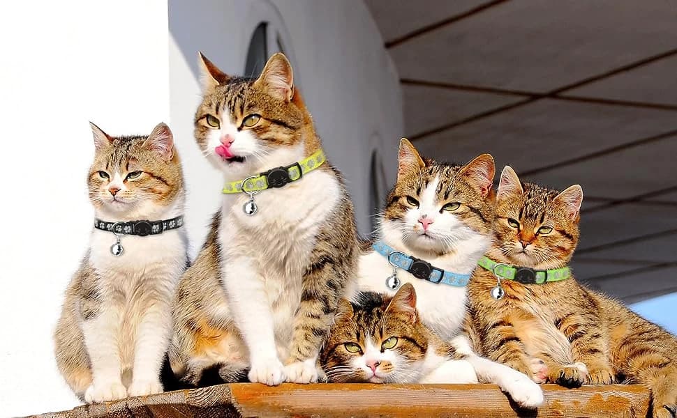 16 PCS Breakaway Cat Collars with Bells Reflective Cat Collar Safety Nylon Kitten Collars Cat Collars for Girl — product details