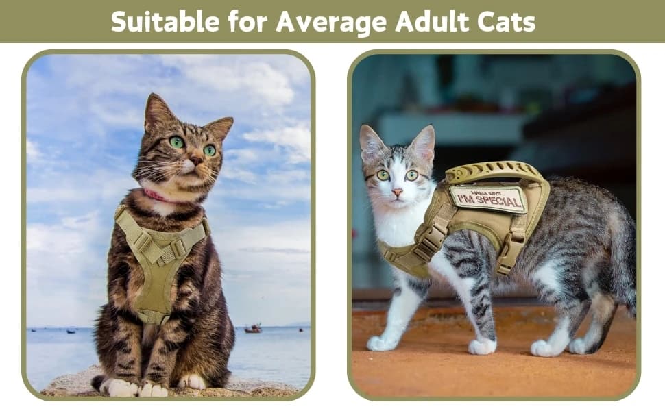 Tactical Cat Harness and Leash Set for Walking Escape Proof Adjustable Large Cat Vest Harness with Patches Soft — product details