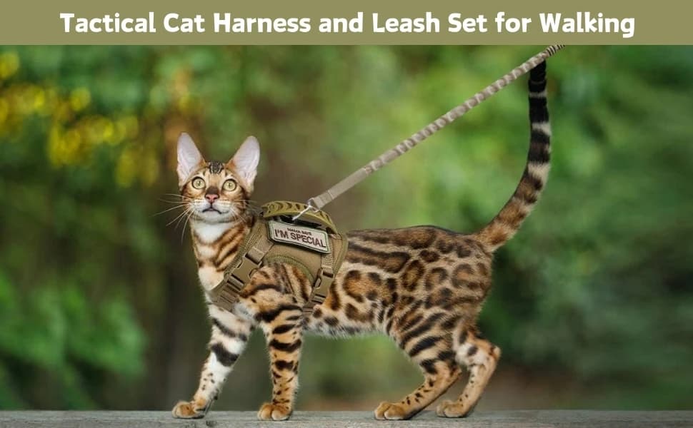 Tactical Cat Harness and Leash Set for Walking Escape Proof Adjustable Large Cat Vest Harness with Patches Soft — Warm Tips