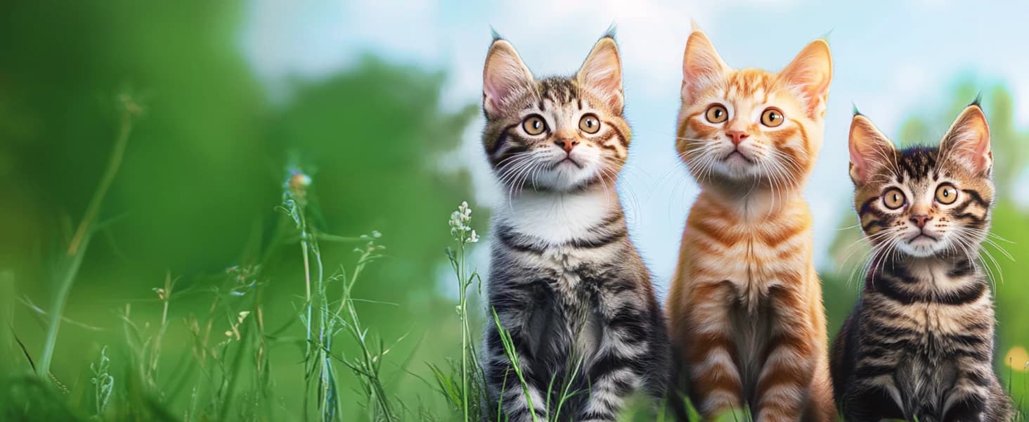 Cat Harness and Leash Set — Escape Proof Cat Harnesses — product details