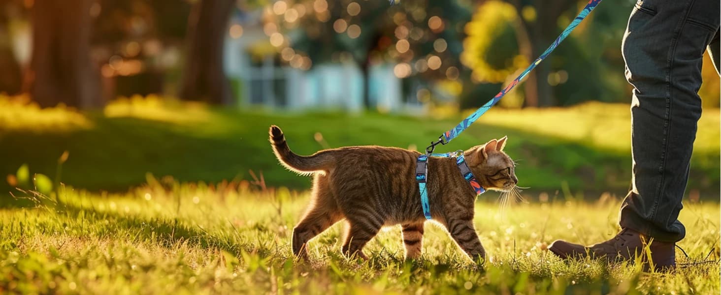 Cat Harness and Leash Set — Escape Proof Cat Harnesses — product details