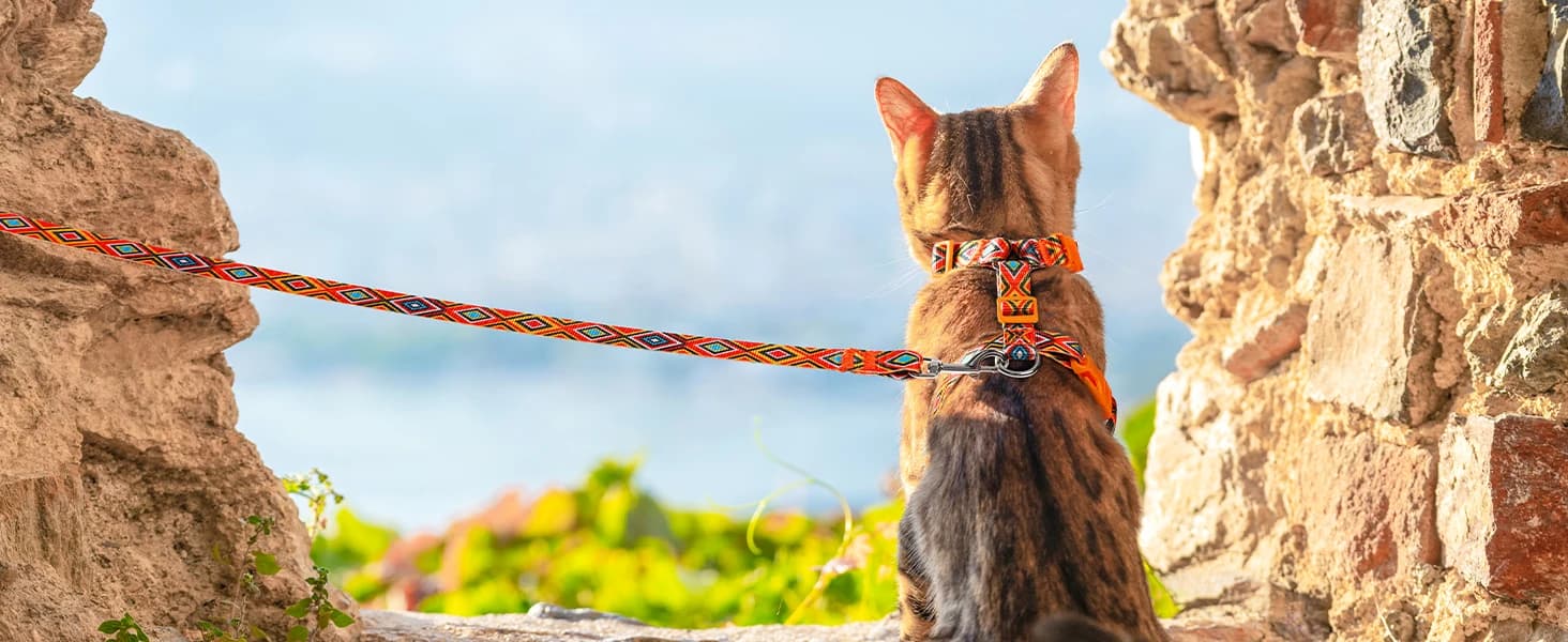 Cat Harness and Leash Set — Adjustable Pet Straps — Embark on New Adventures Together