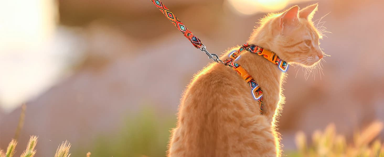 Cat Harness and Leash Set — Adjustable Pet Straps — See the World Together Never Parted