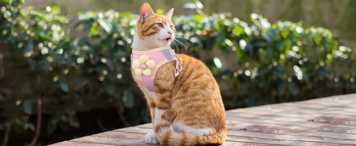 Cat Harness and Leash Set — Escape Proof Soft Vest Walk Pink XS — Small Cat Harness with Flower
