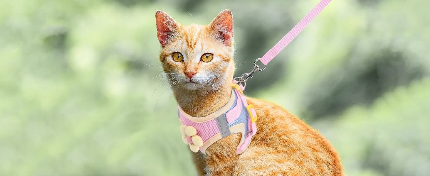 Cat Harness and Leash Set — Escape Proof Soft Vest Walk Pink XS — Small Cat Harness with Flower