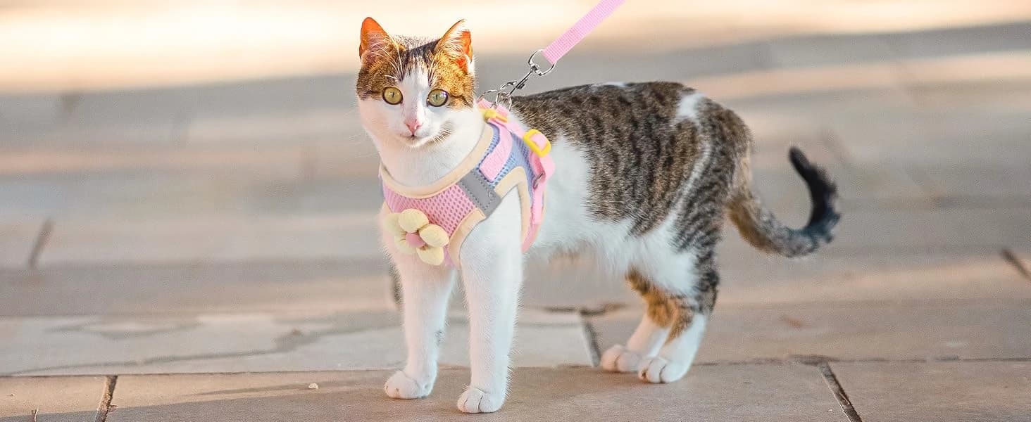 Cat Harness and Leash Set — Escape Proof Soft Vest Walk Pink XS — Small Cat Harness with Flower
