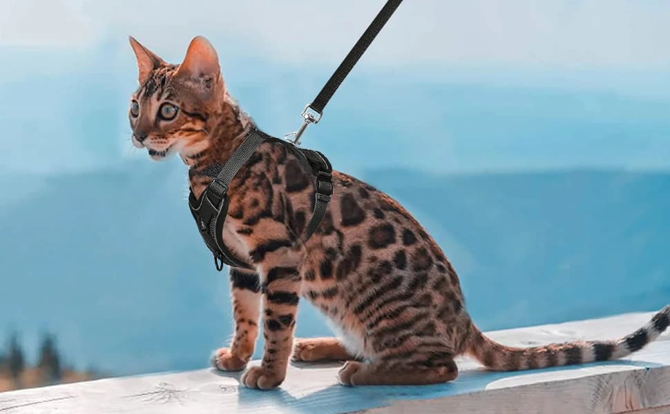 Cat Chest Harness and Leash Set Adjustable Anti-Escape Soft Mesh Cat Vest for Walking Outdoor(Blcak — product details