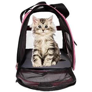 Cat Carrier for Cats Soft-Sided Travel Pet Carrier for Cat with Wooden Padding Board Airline Approved — Product Features