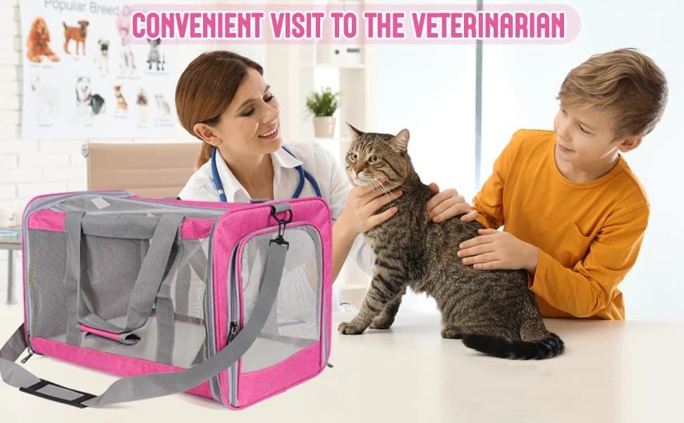 Pet Carrier for Large Cats of 20 Lbs — product details