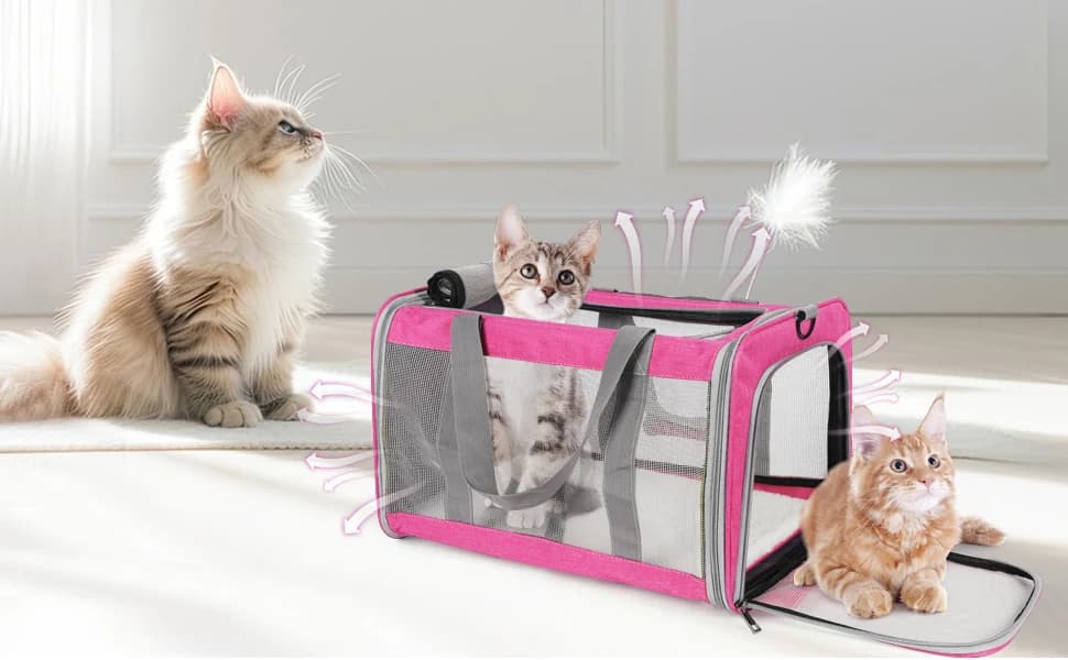 Pet Carrier for Large Cats of 20 Lbs — product details