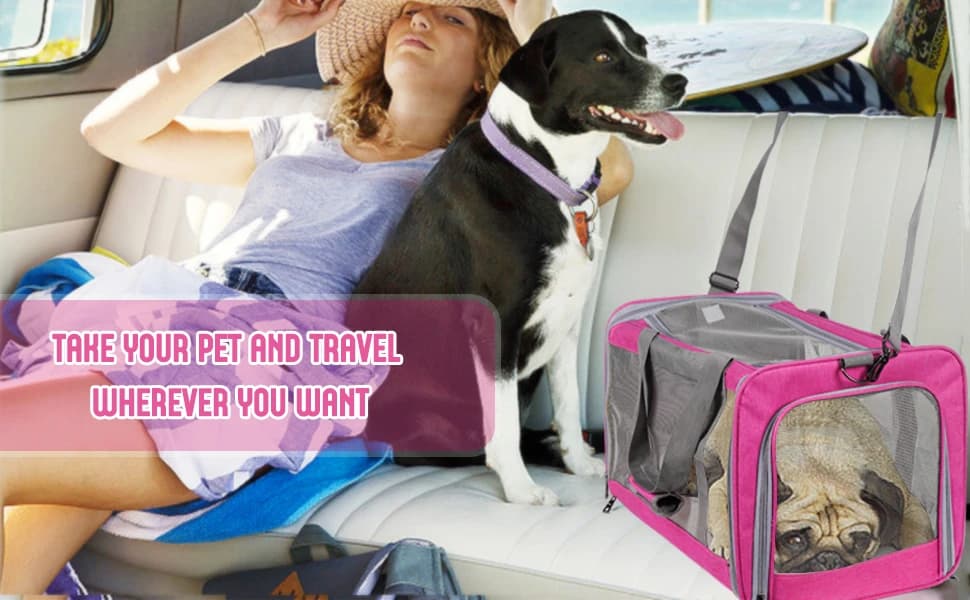 Pet Carrier for Large Cats of 20 Lbs — product details