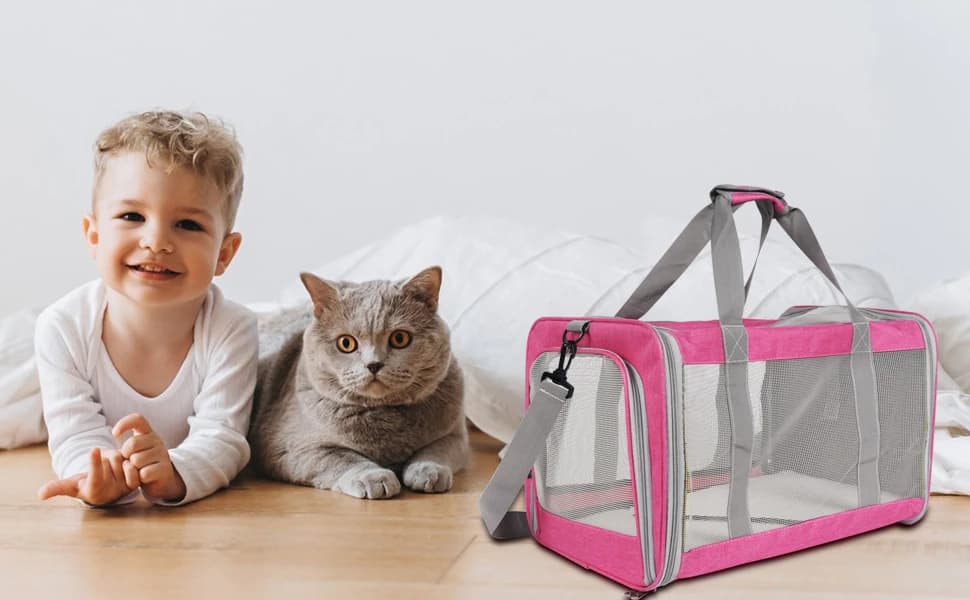 Pet Carrier for Large Cats of 20 Lbs — product details