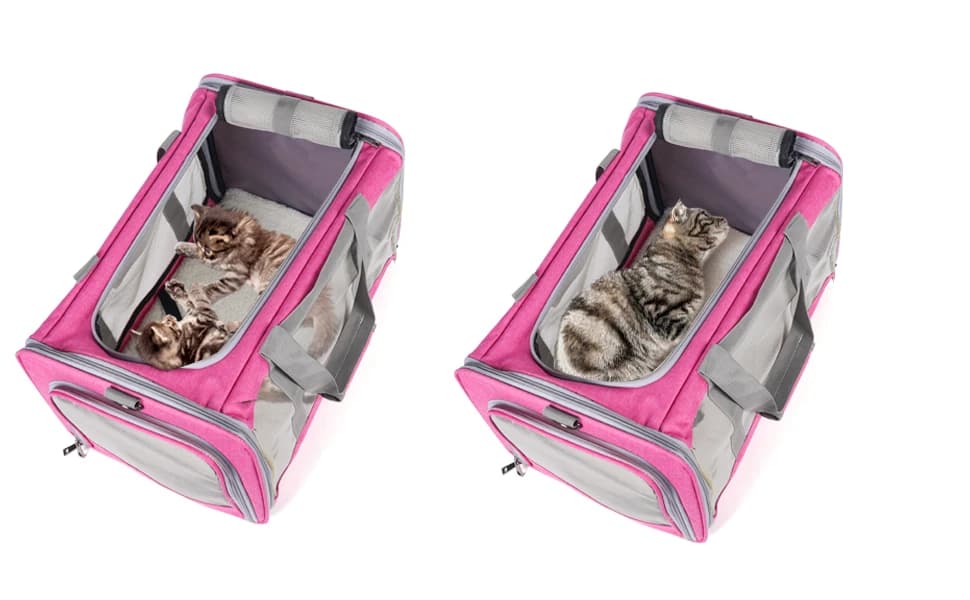 Pet Carrier for Large Cats of 20 Lbs — product details