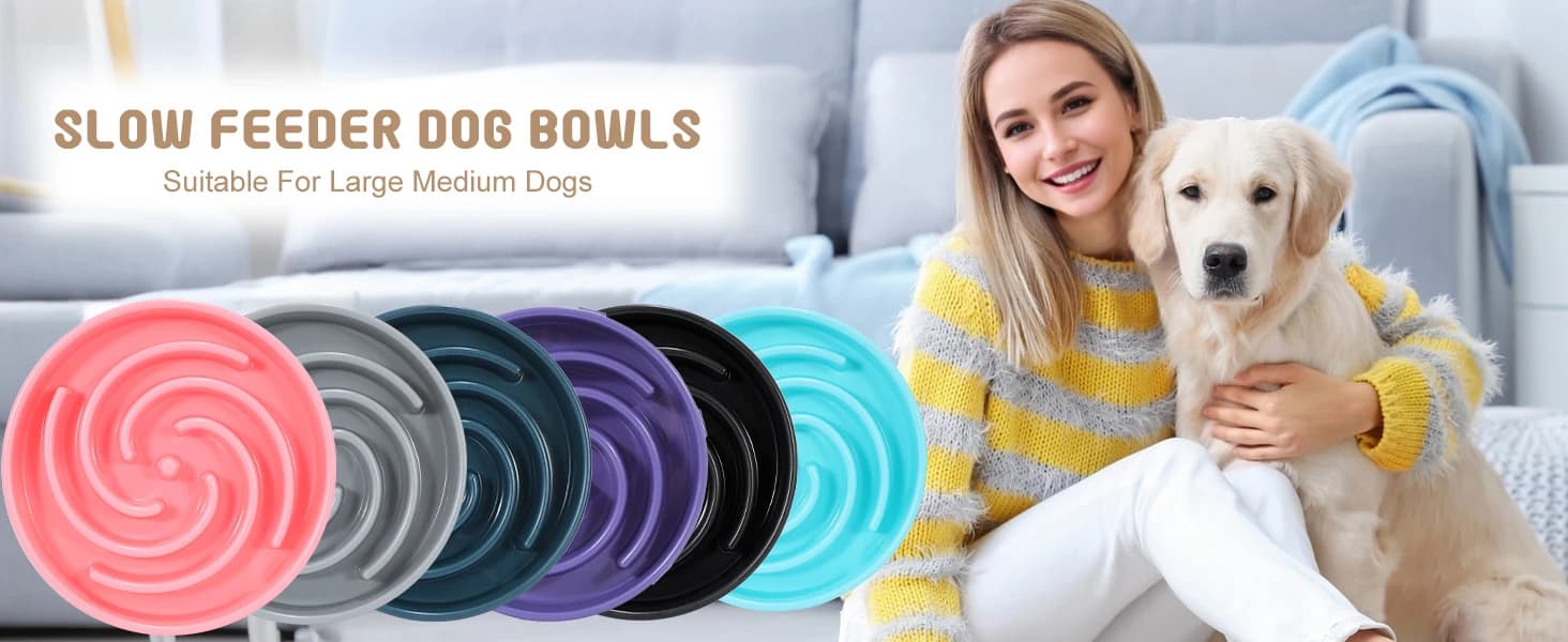 Slow Feeder Dog Bowls for Large Medium Dog Non Slip Maze Puzzle Bowl Pet Slower Food Feeding Dishes Interactive — product details