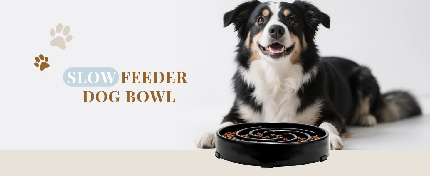 Slow Feeder Dogs Bowl for Large Medium Dogs — product details