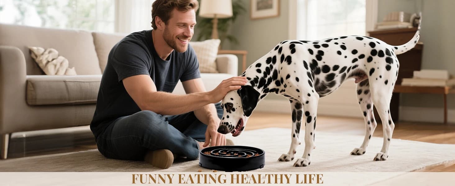 Slow Feeder Dogs Bowl for Large Medium Dogs — product details