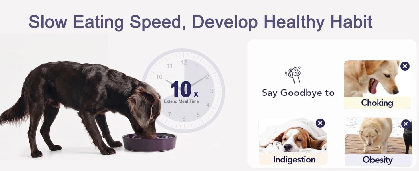 Dog Bowls Slow Feeder Ceramic — 1.5 Cup Slow Feeding Bowl for Small and Medium Breed — product details
