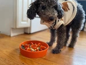 Dog Bowls Slow Feeder Ceramic — 1.5 Cup Slow Feeding Bowl for Small and Medium Breed — Life with Pets is Full of Joy