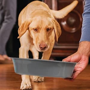 Dog Slow Feeder - Reduce Slip Puzzle Bowl for Raised Pet Feeders - Interactive Bloat Stop Elevated Diners — Only Suits for Opening — 7.5’’-8’’ Raised Feeder