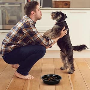 Dog Slow Feeder - Reduce Slip Puzzle Bowl for Raised Pet Feeders - Interactive Bloat Stop Elevated Diners — Only Suits for Opening — 7.5’’-8’’ Raised Feeder