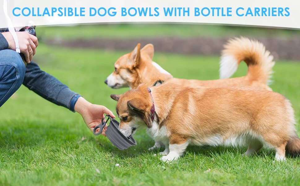 2 Pack Collapsible Dog Bowls with Bottle Carrier — product details