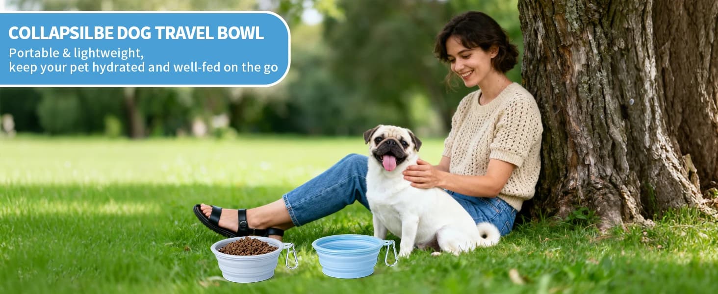Collapsible Dog Bowl Silicone — 2Pack Macaron Color Pet Travel Bowls — product details