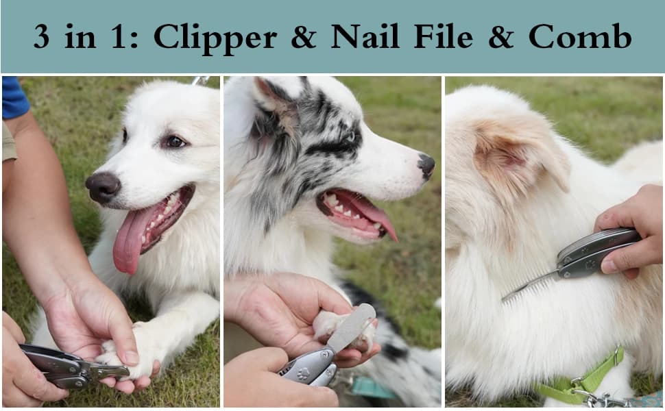 Heavy‑Duty Dog Nail Clipper for Large Dogs with Thick Nails — OUTLE — This is your professional 3 in 1 Dog Nail Clippers all heavy duty for large dogs and thick nails!