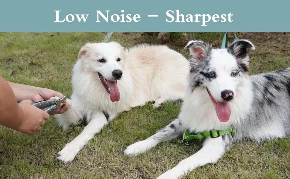 Heavy‑Duty Dog Nail Clipper for Large Dogs with Thick Nails — OUTLE — Best Dog Naiil Clipper for Anxiety Sensitive Dog