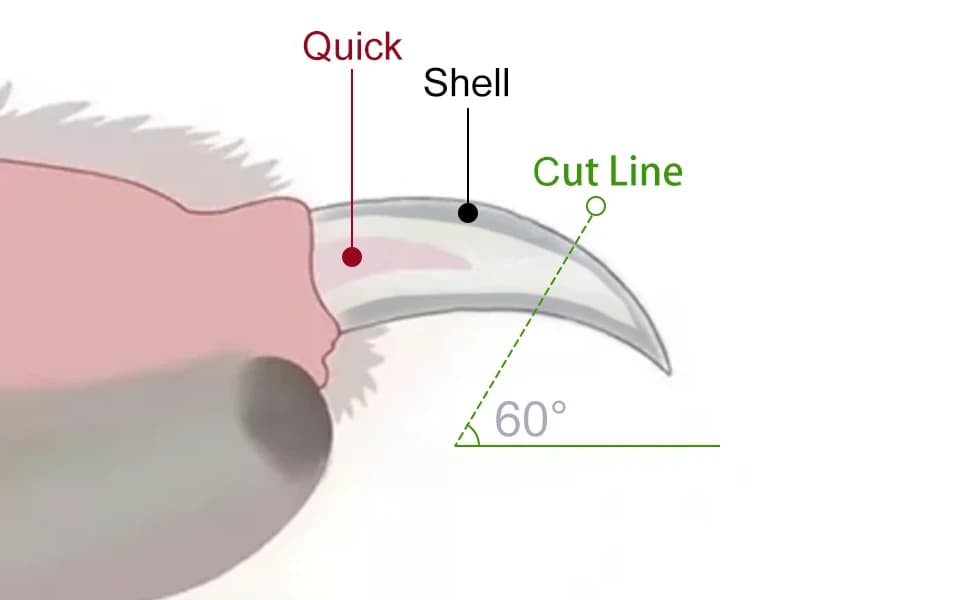 Dog/Cat Nail Clippers with Light - Safe Trimming for Cats and Dogs — product details