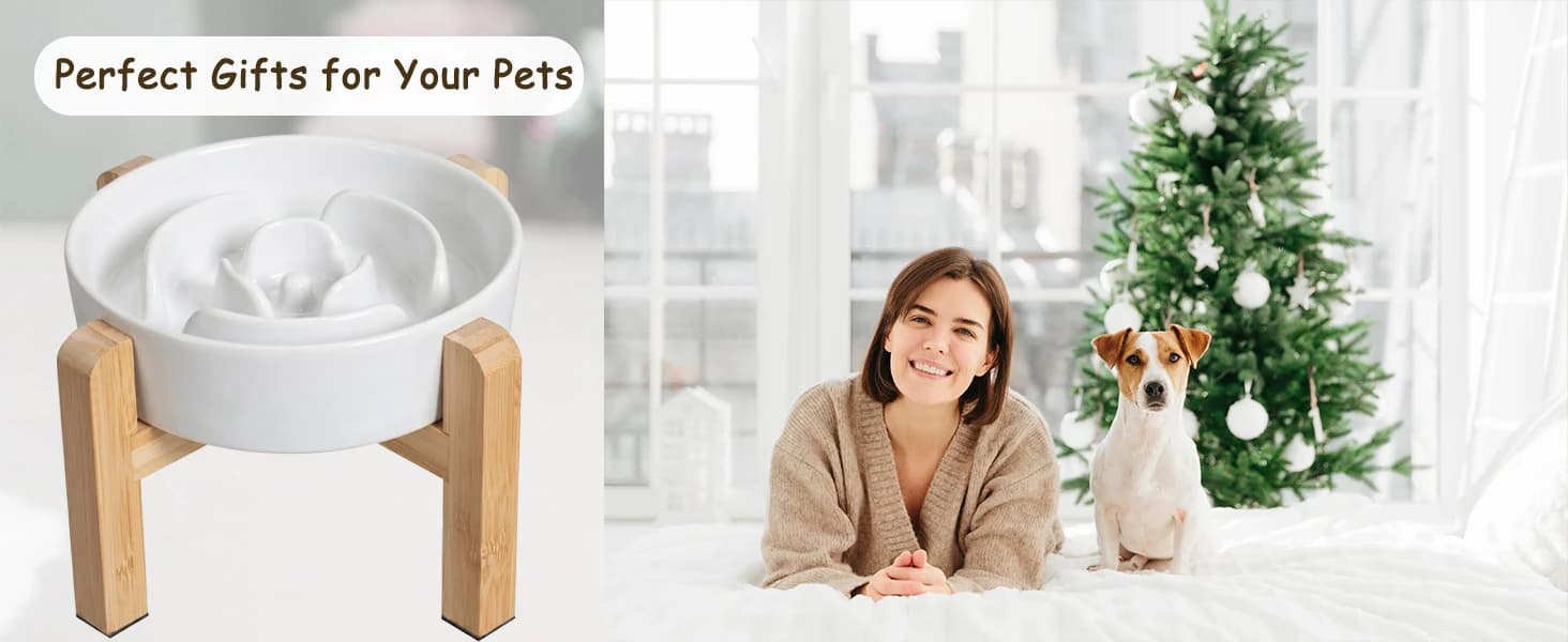Elevated Slow Feeder Dog Bowl — product details