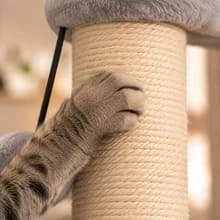 Tall Cat Scratching Post, Double Lower Posts Extra Stable Cat Post Tree Scratcher with Sisal Rope and Teasing 4 — Comfortable Stretching Height