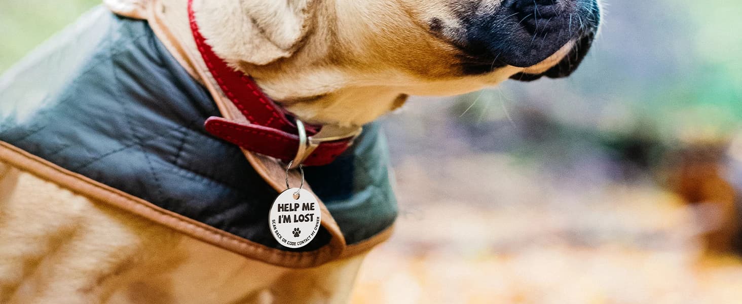 Stainless Steel QR Code Dog ID Tags Cat Tags — Pet Online Profile - Scan QR Receive Instant Pet Location Alert — product details