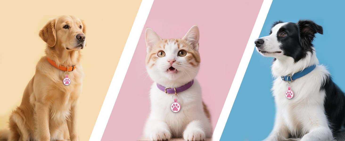 QR Code Cat Tag — Modifiable Pet Online Profile Page — product details