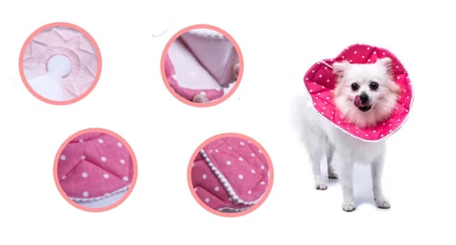 Adjustable Dog and Cat Cone — Soft Recovery Cat Cone Collar — FOCUS FEATURES