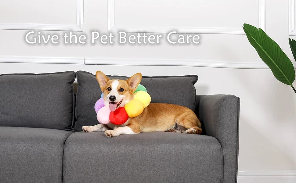 Adjustable Pet Recovery Collar — Sunflower Elizabethan collar