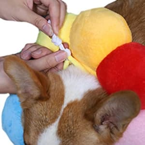 Adjustable Pet Recovery Collar — STEP 1