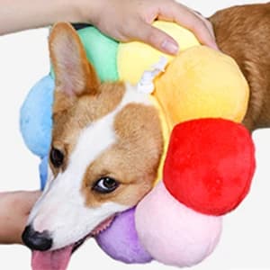 Adjustable Pet Recovery Collar — STEP 1